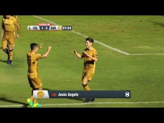 Loros Universidad 1:2 Dorados