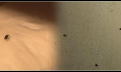 Yer: Üsküdar... Pes dedirtecek görüntüler!...