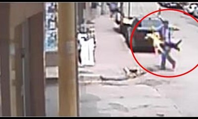 Kedi, köpek ve sahibine böyle saldırdı