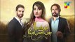 Mein Khayal Ho Kisi Aur Ka Episode 20 promo Hum Tv - 7 November 2018