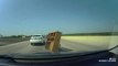Un automobiliste se prend un bureau en pleine autoroute, sorti de nulle part