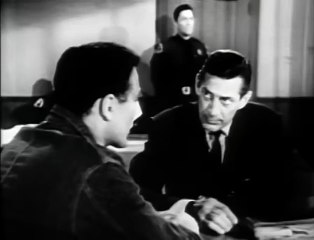 Brutality--Public_Defender