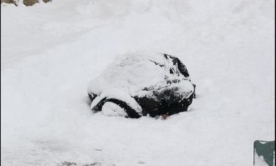 Sokak ortasında ölü olarak bulundu