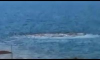 Denizde korkutan görüntü