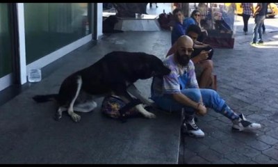 Köpeğe kaptırdığı çantasını uzun uğraşlar sonucu alabildi