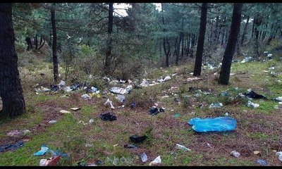 Ormanlık alan ağzına kadar çöp ve moloz yığınlarıyla dolu