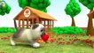 Learn Colors Cartoon Gorilla Milk Bottle Feeding Puppy Cartoon learning 3D video