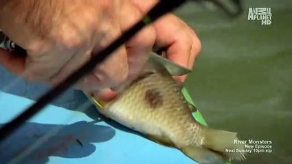 TV River Monsters S03 E06 Electric Executioner Part.1