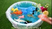 Learn Sea Animal and Wild Zoo Animals Names Learn Colors Video Toys For Kids