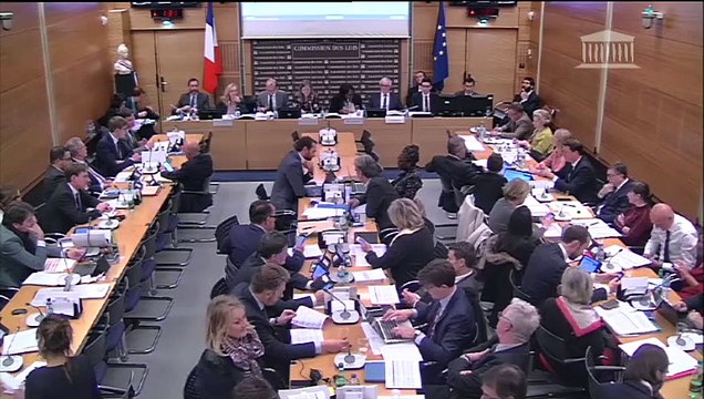 Commission des lois : Projets de loi de programmation 2018-2022 et de réforme pour la Justice - Mercredi 7 novembre 2018