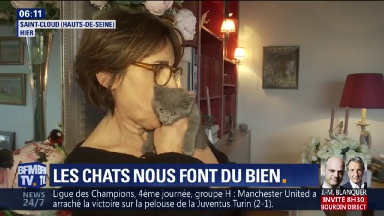 Pourquoi les chats sont-ils bons pour la santé ?