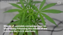 Cannabis Shares Rise As U.S. Voters Support Legalization