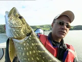 the great rod race pike perch & bream part.1 (2005)