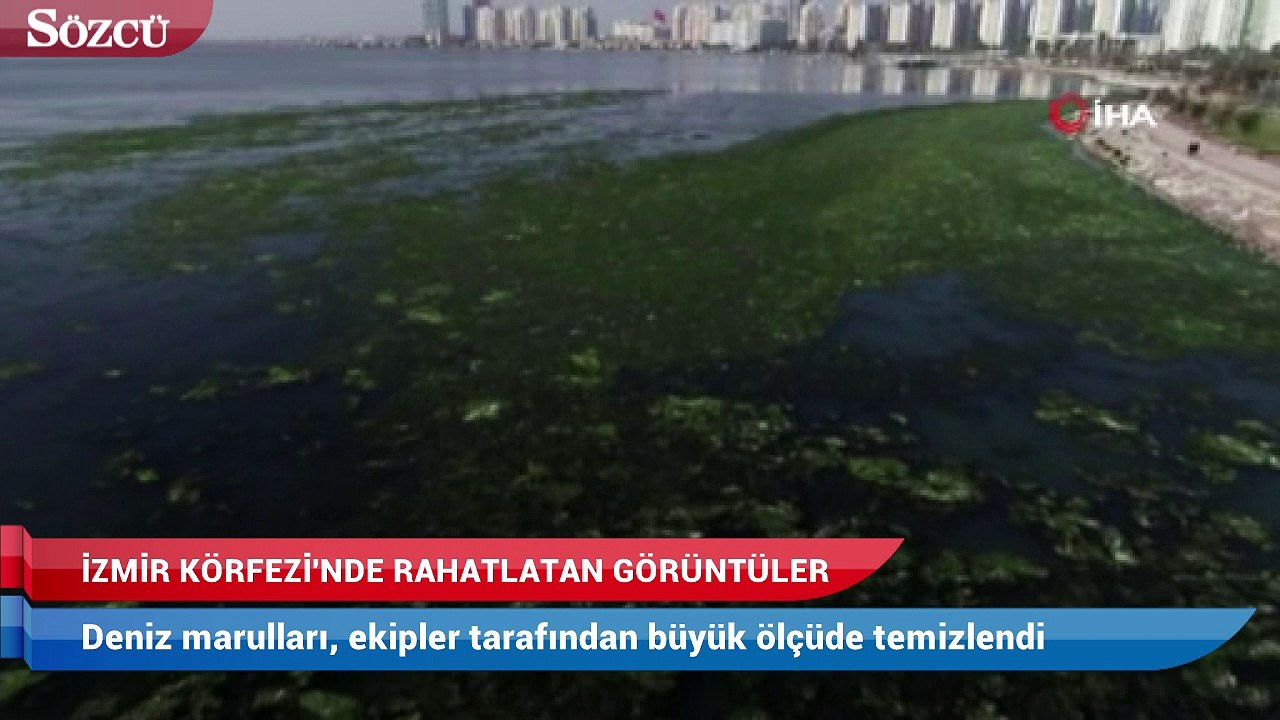 İzmir Körfezi’nde rahatlatan görüntü
