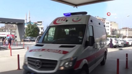 Kestiği ağaç üzerine devrildi