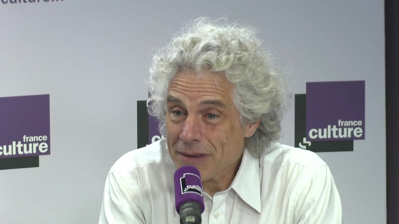 Steven Pinker : "Donald Trump représente l'opposé des idéaux des Lumières"