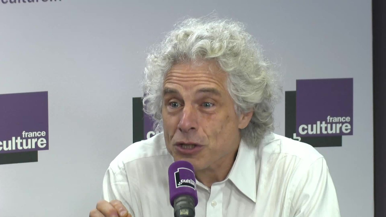 Steven Pinker : "Si les bonnes nouvelles ne sont jamais données ça déforme la perception des gens"
