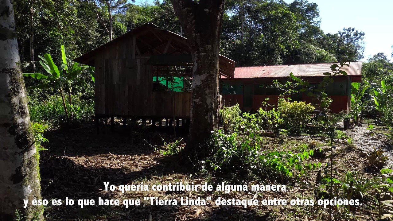 PROMO LLARGA (ESP)