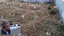 Sultan Murat Yaylası, Doğal Güzelliğinin Yanı Sıra Şehit Mezarlarıyla da Ön Plana Çıkıyor