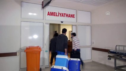 Organlarıyla 7 hastaya umut oldu - ANTALYA