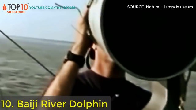 Extinct Animals That Scientists Want To Bring Back : Tiger, Mammoth, Woolly Rhino...