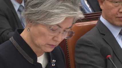 강경화 "북·미 고위급회담 연기, 北이 美에 통보" / YTN