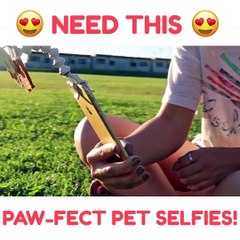 Pet Selfie Stick (Social Media  Ad)