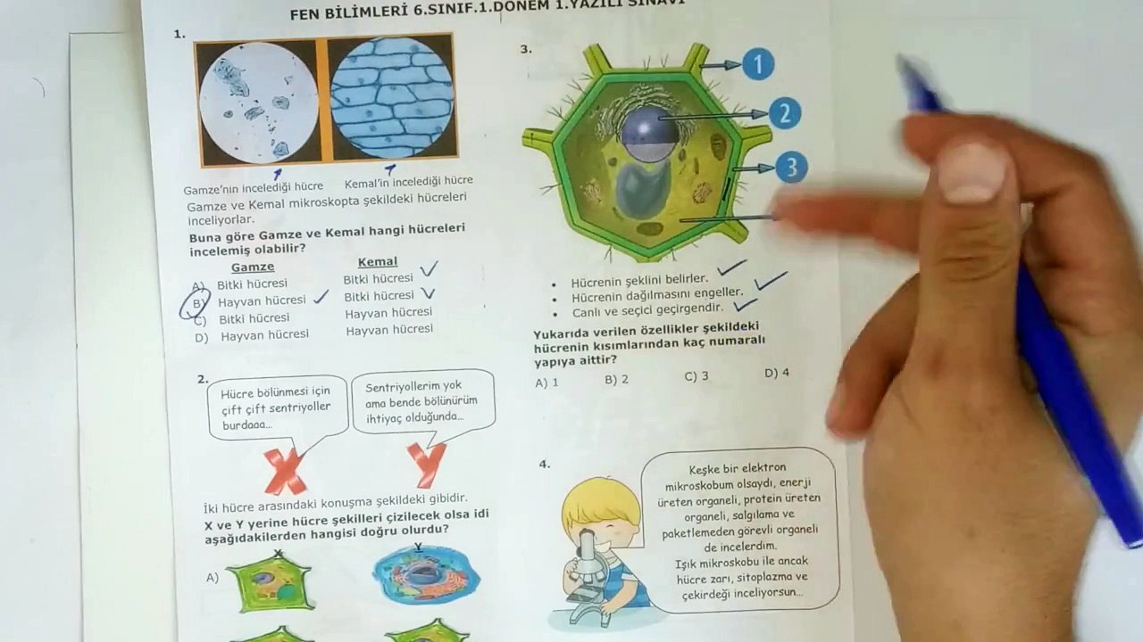 6. Sınıf FEN ve TEKNOLOJİ 1. Dönem 1. Yazılı Soruları ve Çözümü 2019