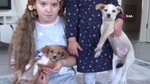 Ölüme Terk Edilen Yavru Köpeklere Çocuklar Sahip Çıktı