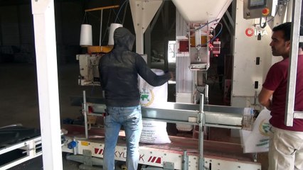 Diyarbakır’dan dünyaya tohum ihracatı