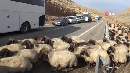 Göçerlerin Zorlu Dönüş Yolculuğu Başladı