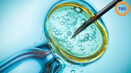 Avec l'avancée de la science, la reproduction va avoir un nouveau visage !