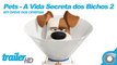Pets - A Vida Secreta dos Bichos 2 - Trailer Oficial Dublado