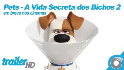 Video herunterladen: Pets - A Vida Secreta dos Bichos 2 - Trailer Oficial Dublado