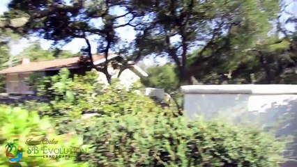 Succulent Garden Maintenance Service  Santa Barbara