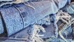 DIY : 3 manières de recycler vos vieux jeans