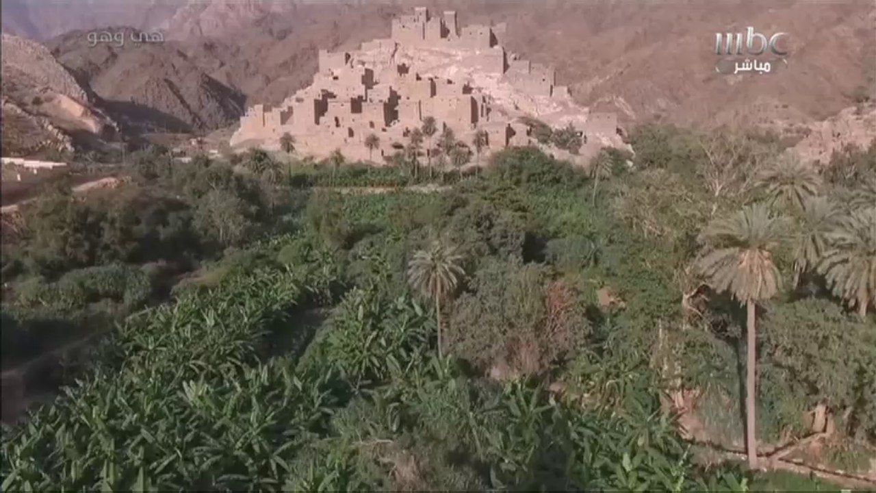 قرية ذي عين التراثية في الباحة