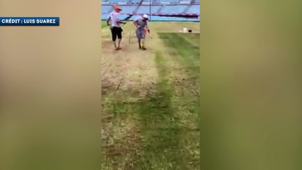 Quand les jardiniers cachent la misère avant la finale du championnat d’Uruguay !