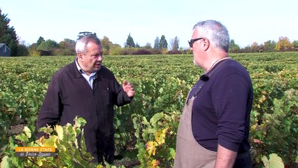 La Bonne Etape - 08/11/2018 - Au Domaine Frédéric Bourillon Dorléans à Rochecorbon