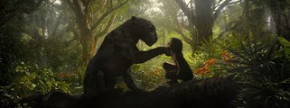 Tráiler de Mowgli, la película de Netflix (inglés)