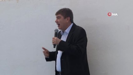 Antalya'da Fok ve Yunusların Muhteşem Şovu