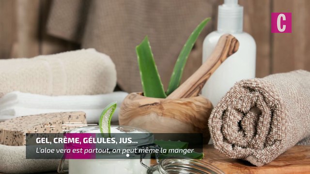 Pourquoi il ne faut jamais utiliser les feuilles fraîches d'aloe vera ?