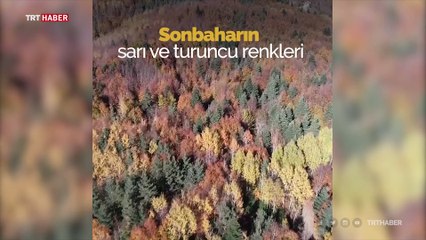 Kastamonu'da sonbahar renkleri
