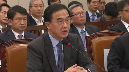 조명균 "김정은 연내 답방 예정대로 추진" / YTN