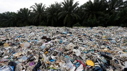 Monouso è la parola dell'anno. Cresce la consapevolezza ambientale