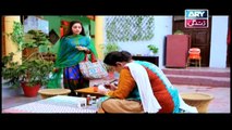 Bubbly Kya Chahti Hai  Episode 31 & 32 - on ARY Zindagi in High Quality 8th November 2018