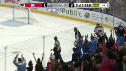 ECHL South Carolina Stingrays 1 at Jacksonville Icemen 4