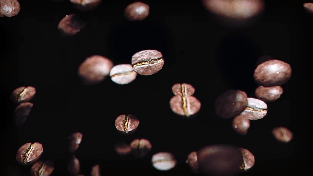 Damien Sono & Gamingo - Coffee Party (Official Video)