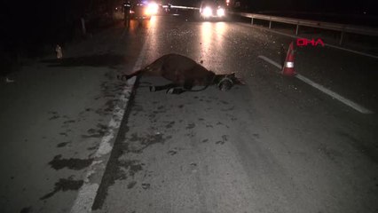 Tokat'ta Otomobil Ata Çaptı: 2 Yaralı