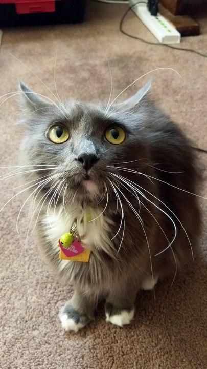 Olive talks back,  then She attacks.